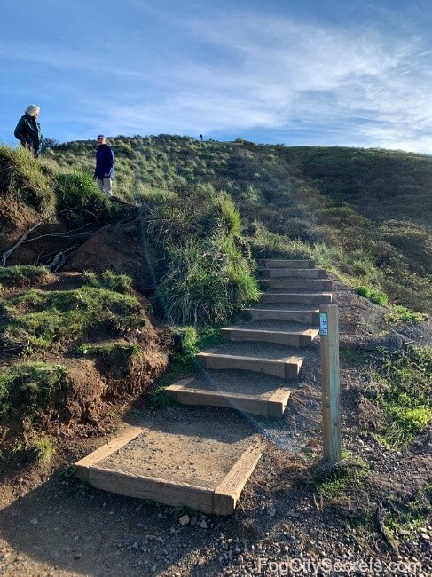 Twin Peaks San Francisco The Best View