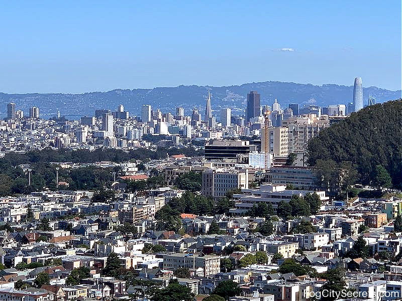 Downtown San Francisco view from Grandview Park