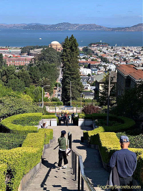 View of SF Bay from Lyon Street Steps View of SF Bay from Lyon Street Steps