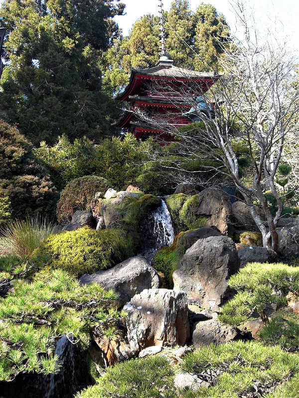 Waterfall and bonsai trees in Japanese Tea Garden SF