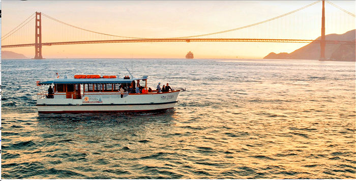 Wine Therapy Bay Cruise  and the Golden Gate Bridge